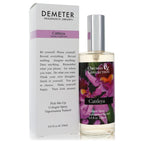 Demeter Demeter Cattleya Orchid