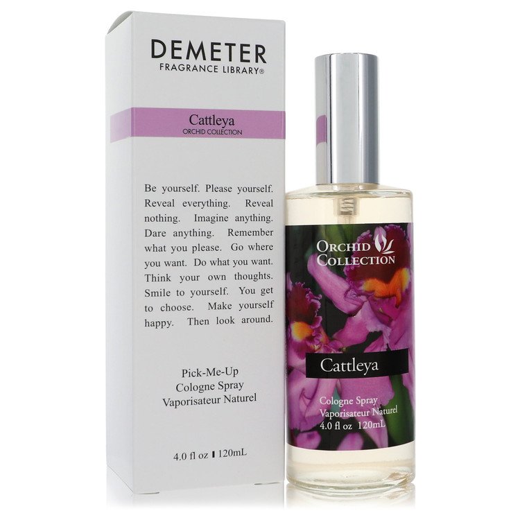 Demeter Demeter Cattleya Orchid