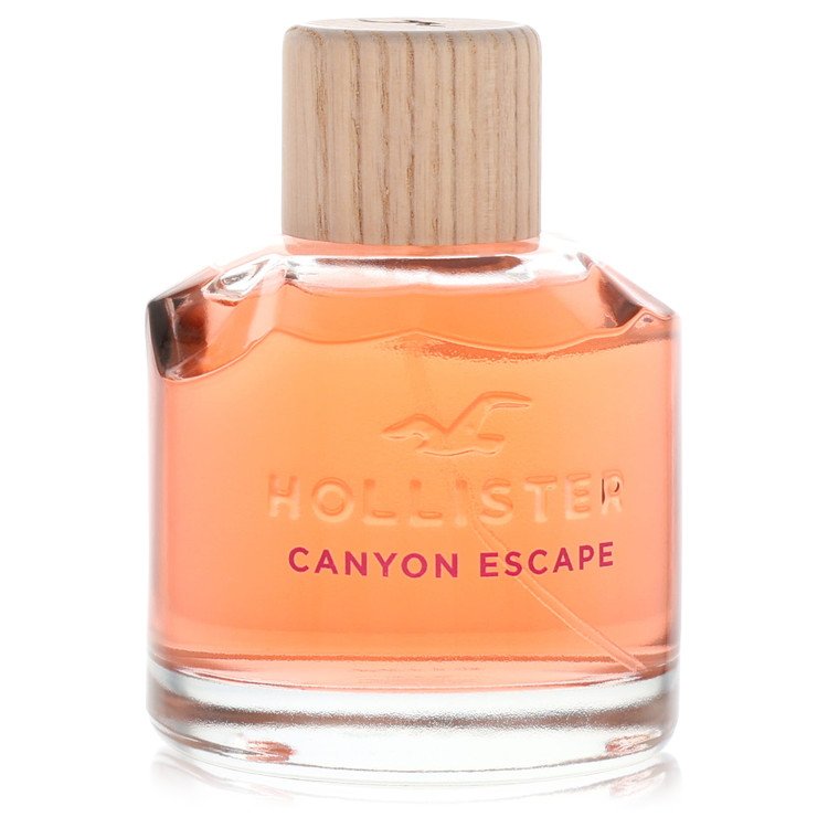 Hollister Hollister Canyon Escape