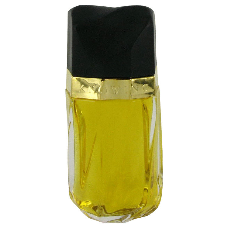Estee Lauder Knowing