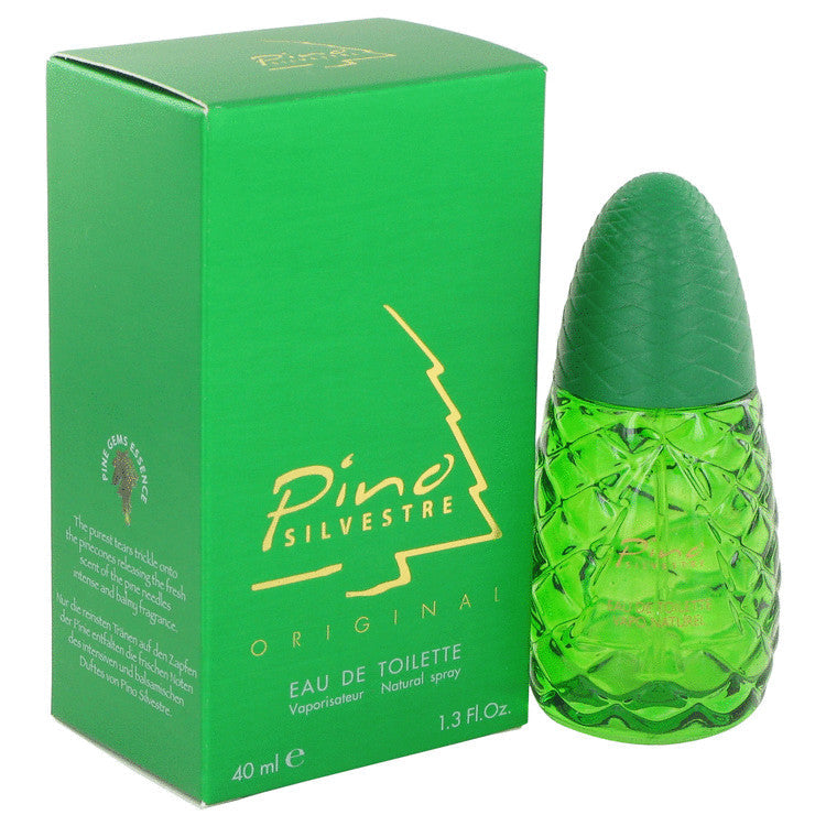 Pino Silvestre Pino Silvestre