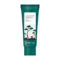 ROUND LAB ROUND LAB Pine Soothing Cica Cream Plus 60ml - hydrating - front bottle shot