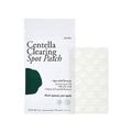 Petitfee PETITFEE Centella Clearing Spot Patch 23pcs 1 sheet - daily care - front bottle shot